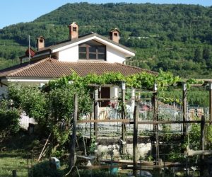 031 – Villa on sale in Cortemilia