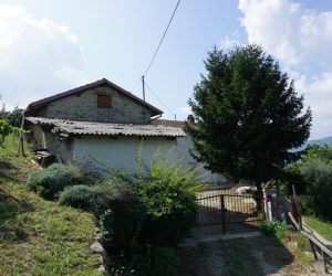 105 – Farmhouse with vineyards for sale in Cossano Belbo